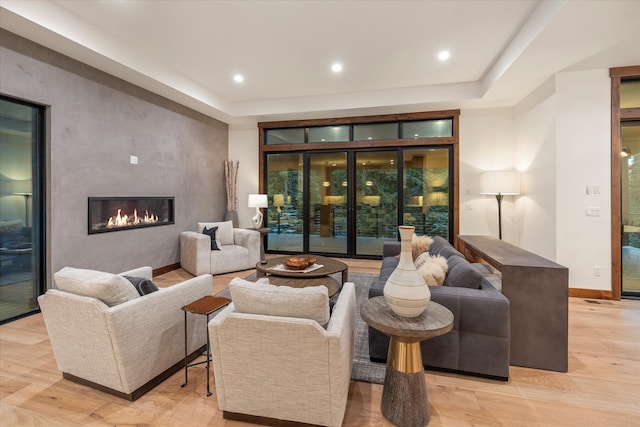 living room featuring a fireplace, light wood-type flooring, and a raised ceiling