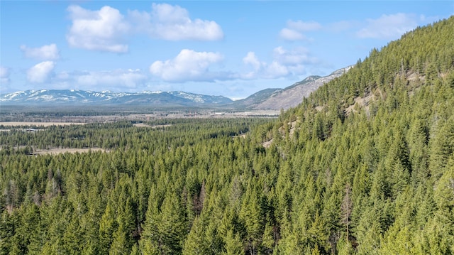 1216 Hems Rd, Columbia Falls MT, 59912 land for sale