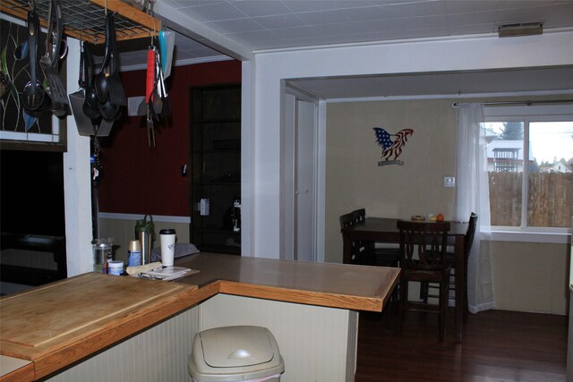 kitchen with dark hardwood / wood-style flooring