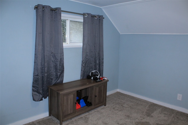 interior space with carpet and lofted ceiling