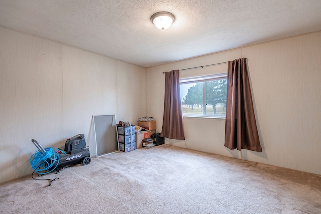 miscellaneous room with carpet flooring and a textured ceiling