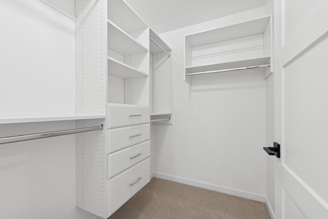 walk in closet featuring carpet flooring