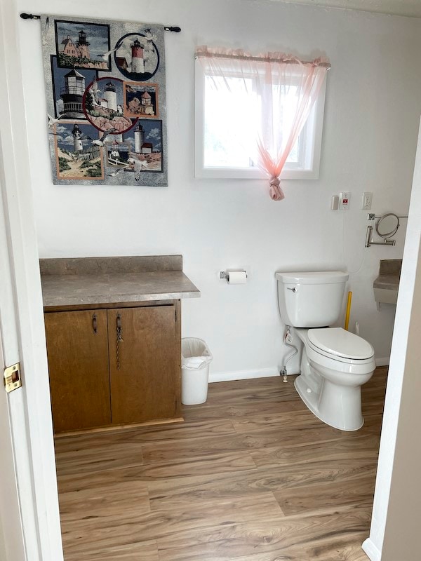 bathroom featuring hardwood / wood-style floors, vanity, and toilet