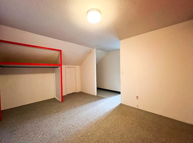 additional living space featuring carpet, a textured ceiling, and lofted ceiling