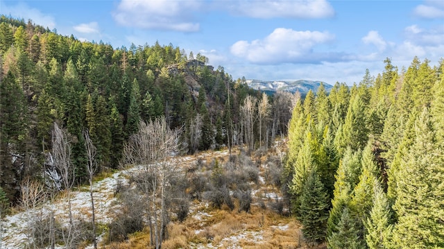 view of local wilderness featuring a mountain view