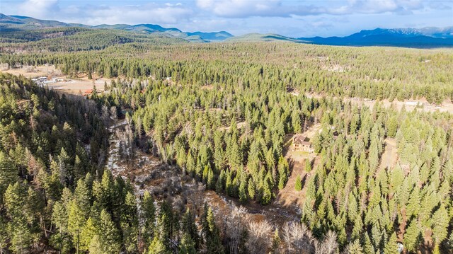 drone / aerial view with a mountain view