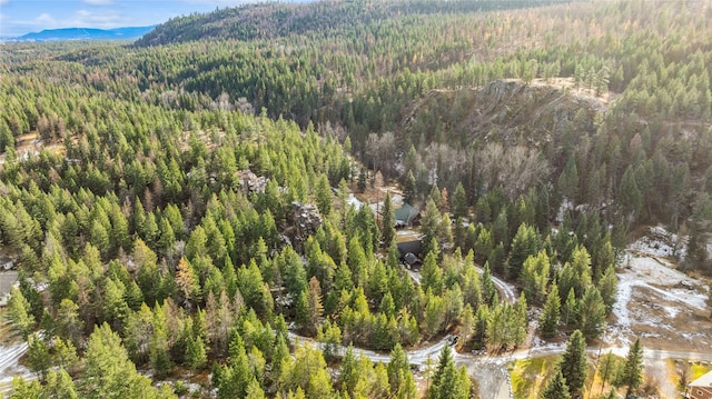 drone / aerial view with a mountain view