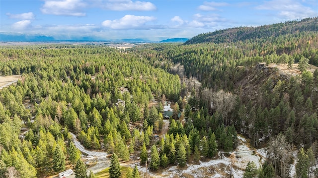 birds eye view of property featuring a mountain view