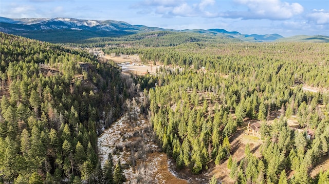 drone / aerial view featuring a mountain view