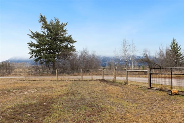 view of yard featuring a mountain view and a rural view