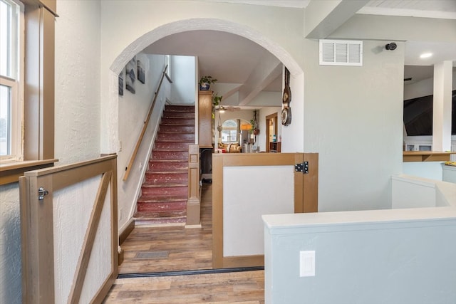 stairs featuring wood-type flooring and a healthy amount of sunlight