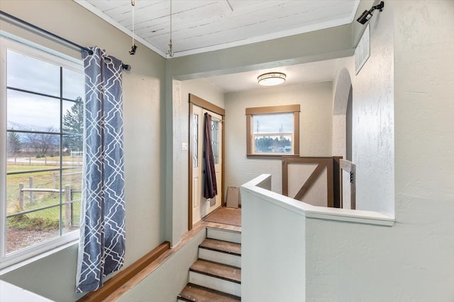 interior space featuring crown molding