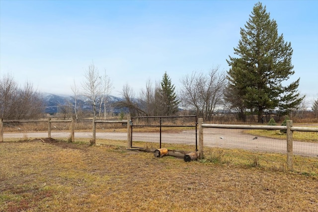 view of yard with a rural view