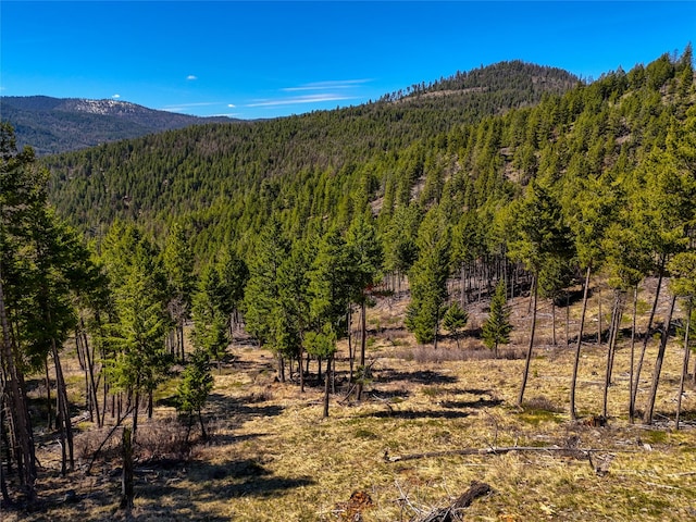 TBD Sirius View, Kalispell, MT 59901