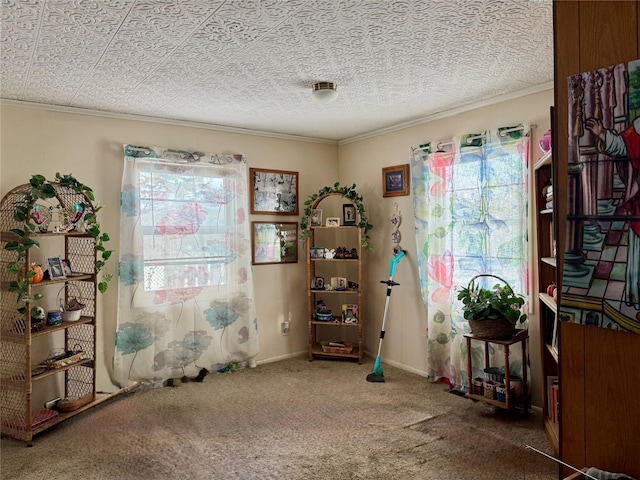 miscellaneous room with carpet and ornamental molding