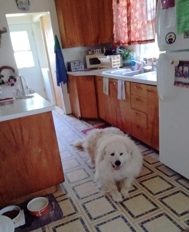 kitchen featuring white fridge, a wealth of natural light, and sink