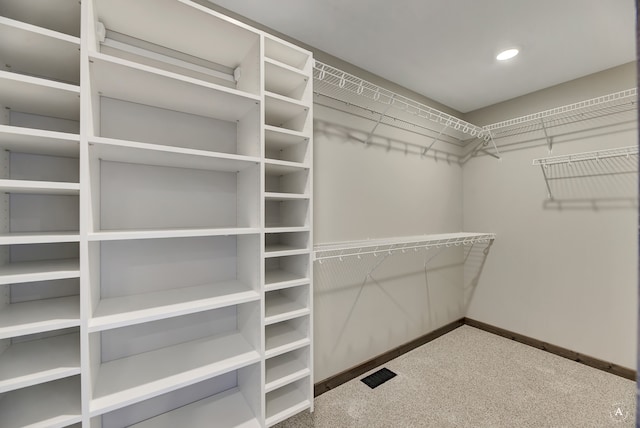 walk in closet featuring carpet floors