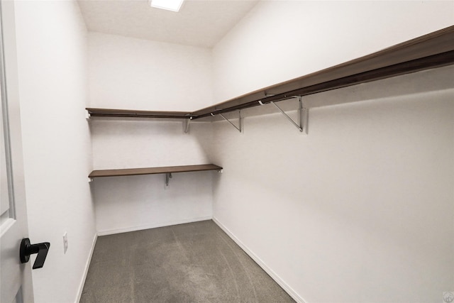 spacious closet with dark colored carpet