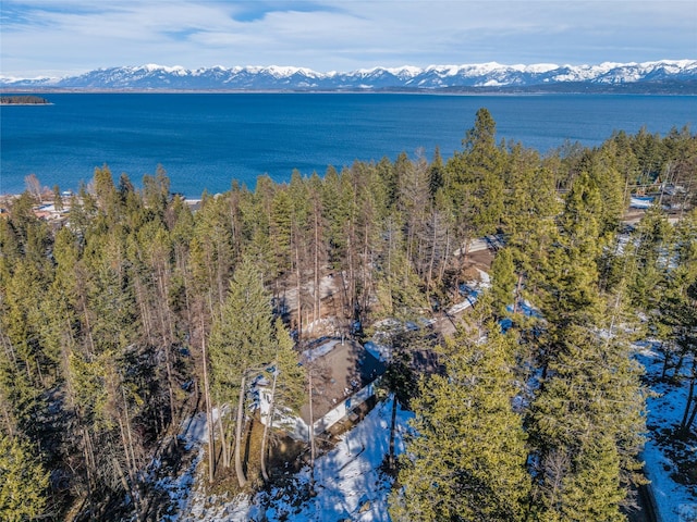 bird's eye view featuring a mountain view and a forest view