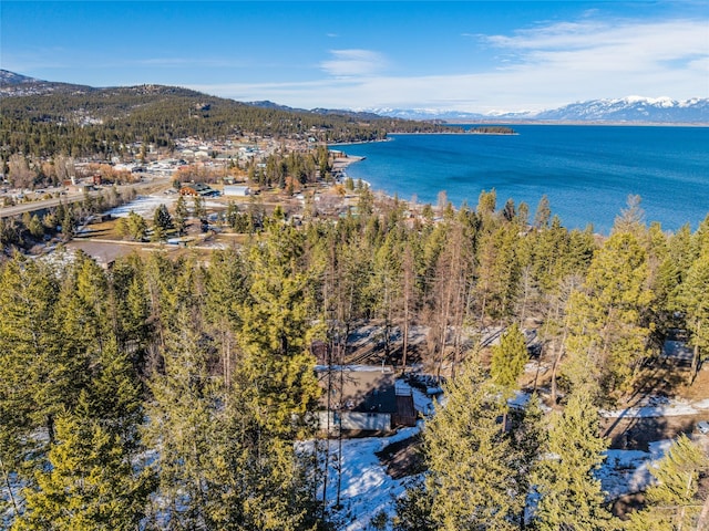 drone / aerial view featuring a water and mountain view