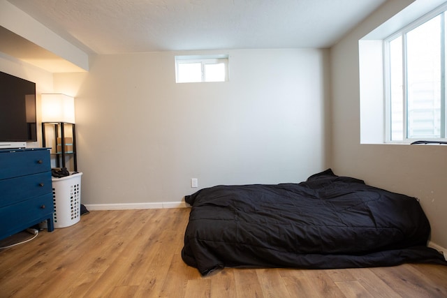 living room featuring light hardwood / wood-style floors