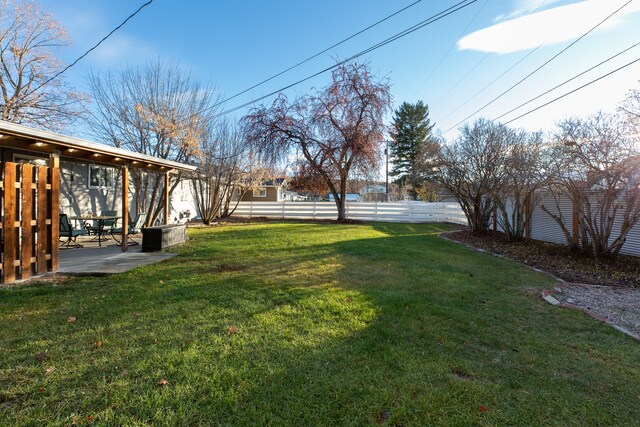 view of yard featuring a patio