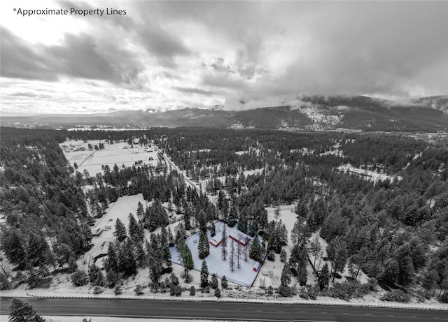 snowy aerial view with a mountain view