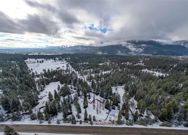 snowy aerial view featuring a mountain view