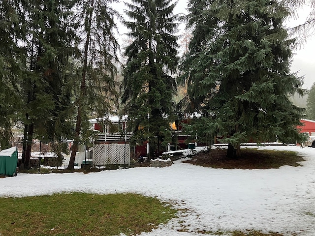 view of yard layered in snow