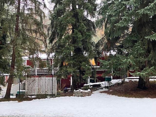 view of yard covered in snow