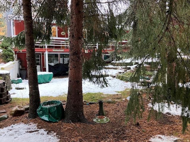 view of snowy yard