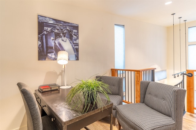 living area featuring a healthy amount of sunlight and light hardwood / wood-style flooring