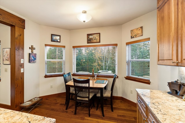 dining space with plenty of natural light and dark hardwood / wood-style flooring