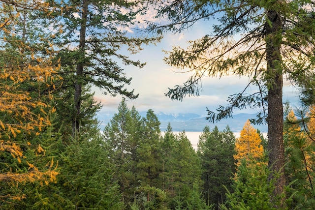 view of nature at dusk