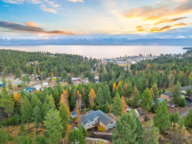 aerial view at dusk featuring a water view