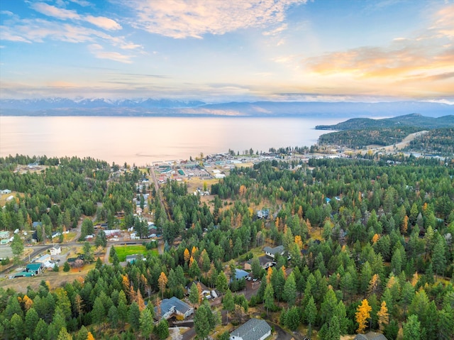 aerial view at dusk with a water view