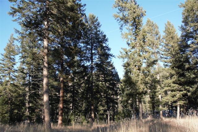 view of local wilderness