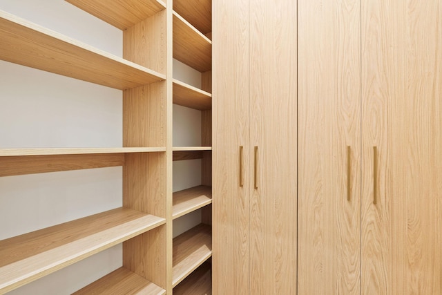 1027 State Park Rd, Whitefish, MT 59937 - view of spacious closet