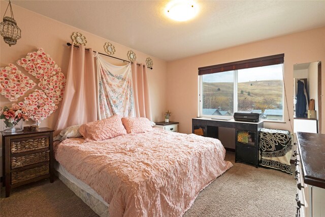 1825 Scott St Unit B, Missoula, MT 59802 - view of carpeted bedroom