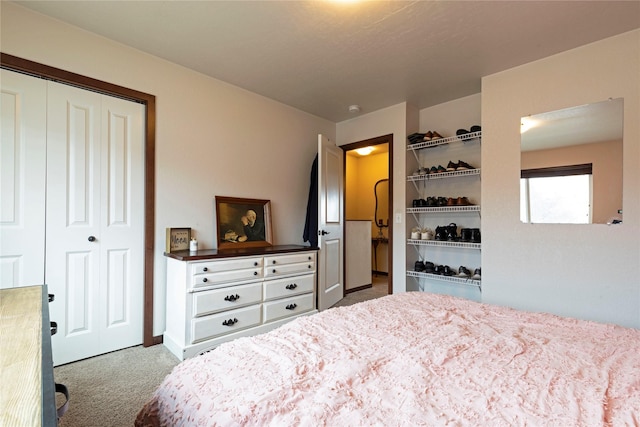 1825 Scott St Unit B, Missoula, MT 59802 - carpeted bedroom featuring a closet
