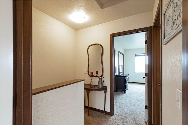 1825 Scott St Unit B, Missoula, MT 59802 - hall with light carpet, baseboards, a textured wall, and a textured ceiling