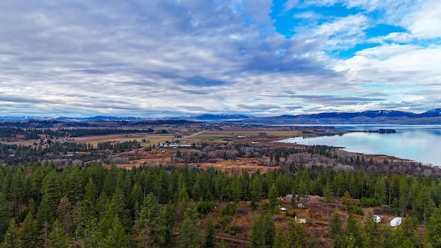 32927 Hellroaring Rd, Polson, MT 59860 - view of mountain backdrop with a heavily wooded area