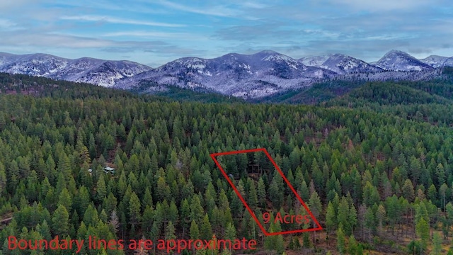 32927 Hellroaring Rd, Polson, MT 59860 - bird's eye view