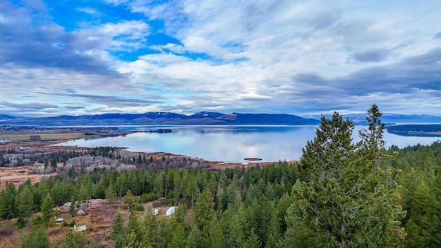 32927 Hellroaring Rd, Polson, MT 59860 - water view featuring a mountainous background and a forest