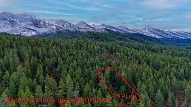 32927 Hellroaring Rd, Polson, MT 59860 - aerial overview of property's location with mountains, property boundaries highlighted, and a heavily wooded area