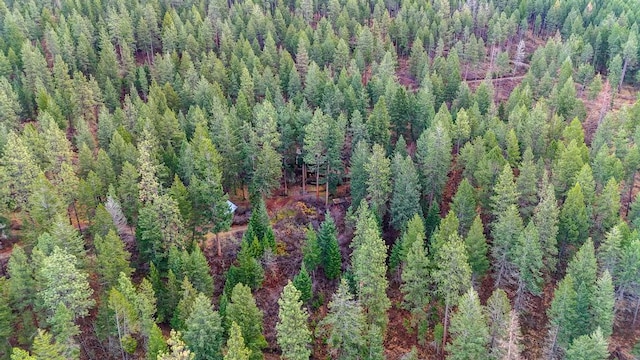 32927 Hellroaring Rd, Polson, MT 59860 - drone / aerial view of a heavily wooded area