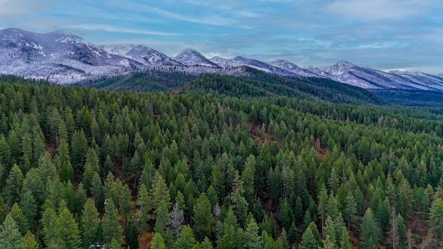 32927 Hellroaring Rd, Polson, MT 59860 - view of mountain background with a forest