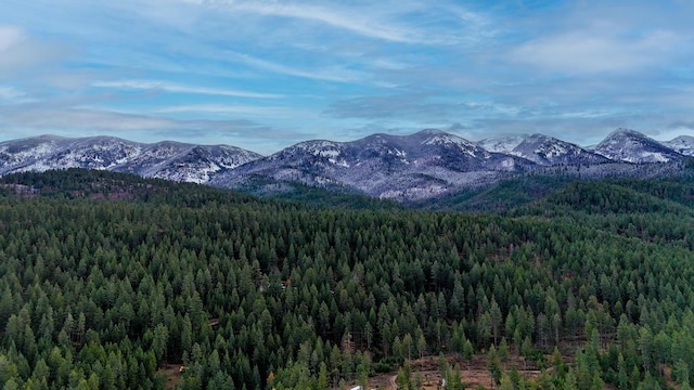 32927 Hellroaring Rd, Polson, MT 59860 - mountain view with a heavily wooded area