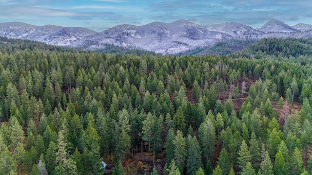 32927 Hellroaring Rd, Polson, MT 59860 - mountain view featuring a forest