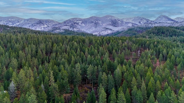 32927 Hellroaring Rd, Polson, MT 59860 - view of mountain backdrop with a heavily wooded area
